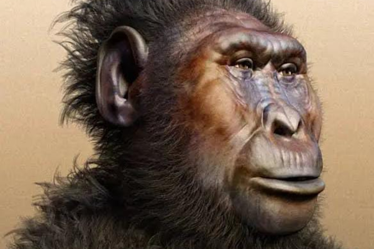 Temuan Unik di Danau Turkana, Manusia Purba Mirip Manusia Modern