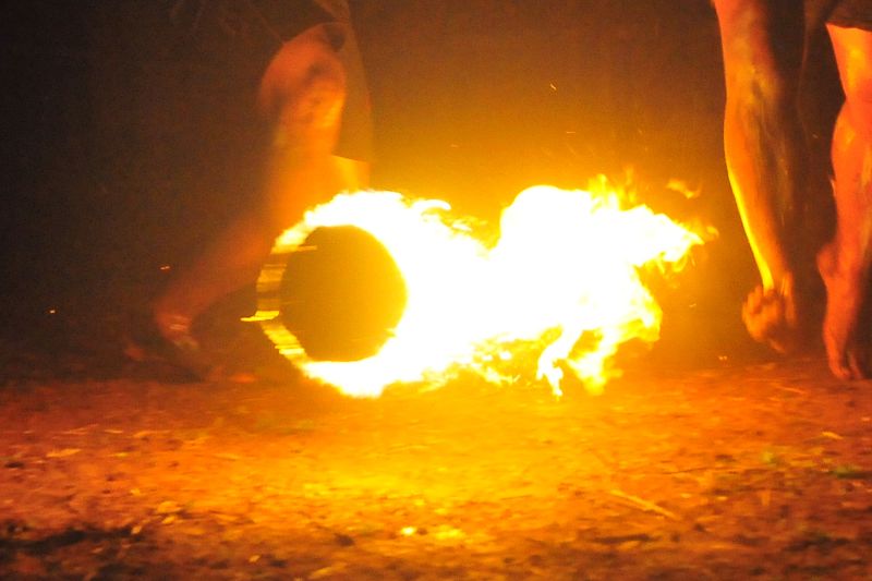 Banaspati “bola api” muncul di hutan Jawa, dikaji ilmiah